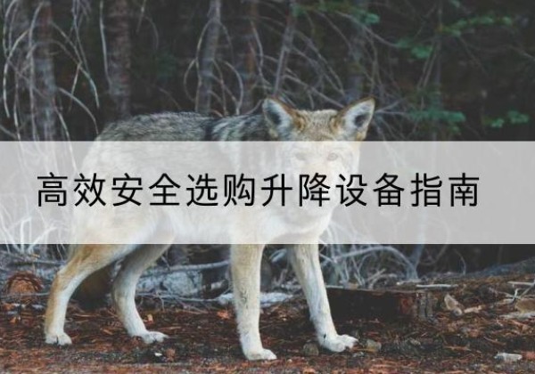 鹤山升降货梯厂家推荐-*安全选购升降设备指南